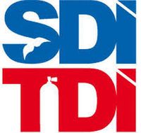 logo_sditdi